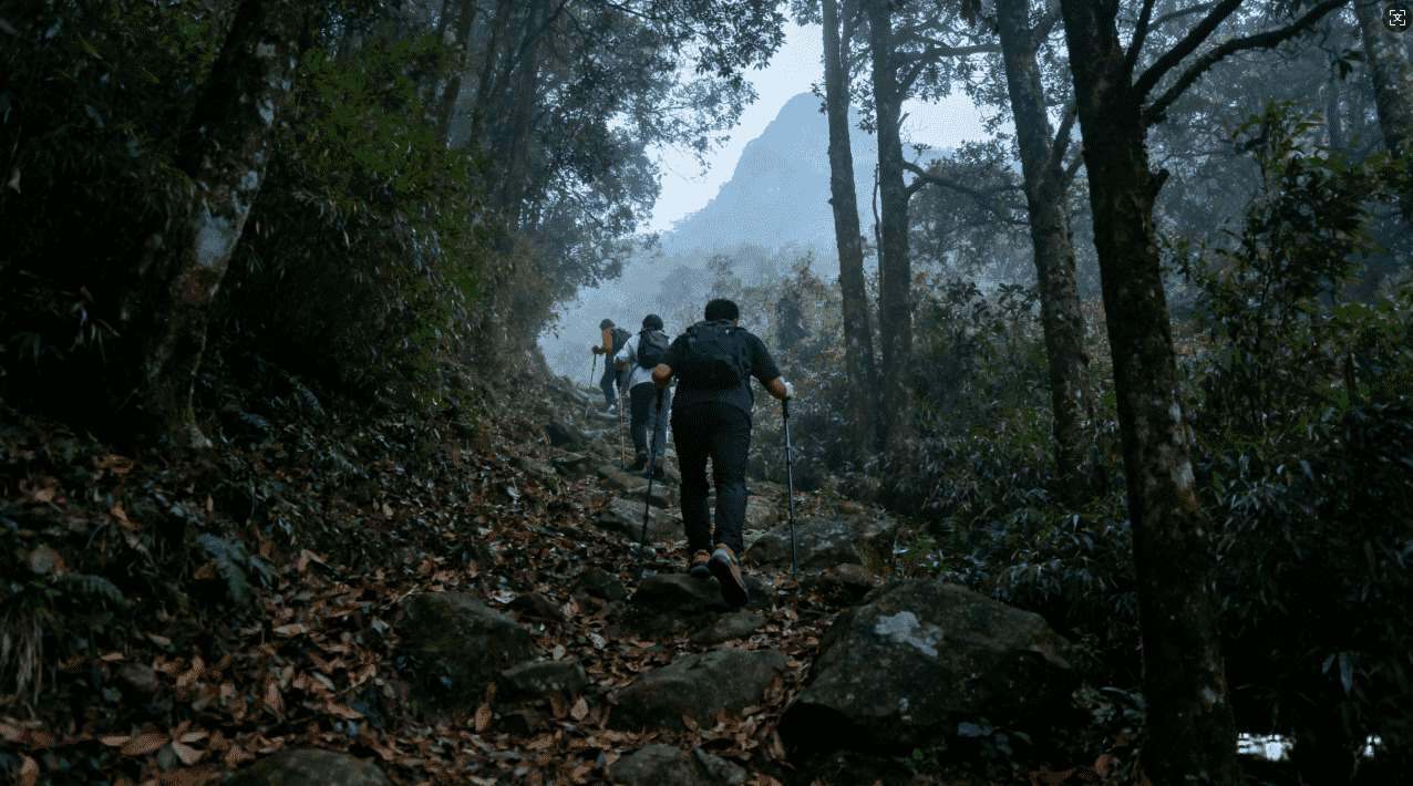 风驰加速器优缺点全面分析，你值得了解的真相